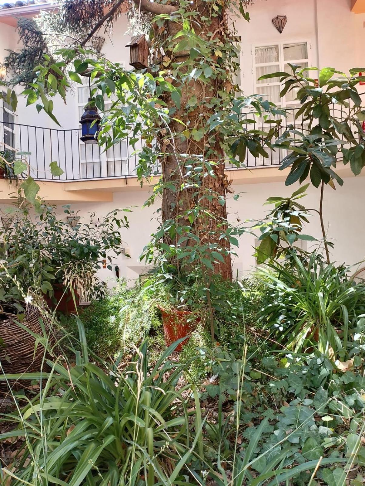 Casa Rural Plaza De Santa Maria 카졸라 외부 사진